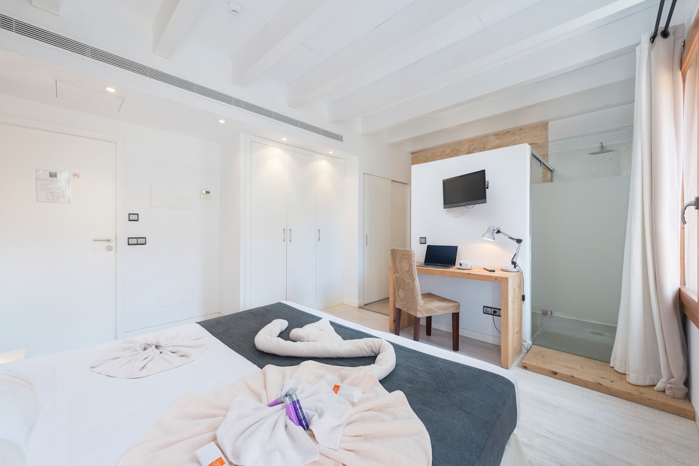 Alcudia Petit 4/50