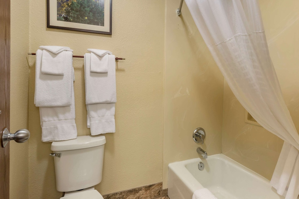 Comfort Inn Flagstaff South I-17 36/38
