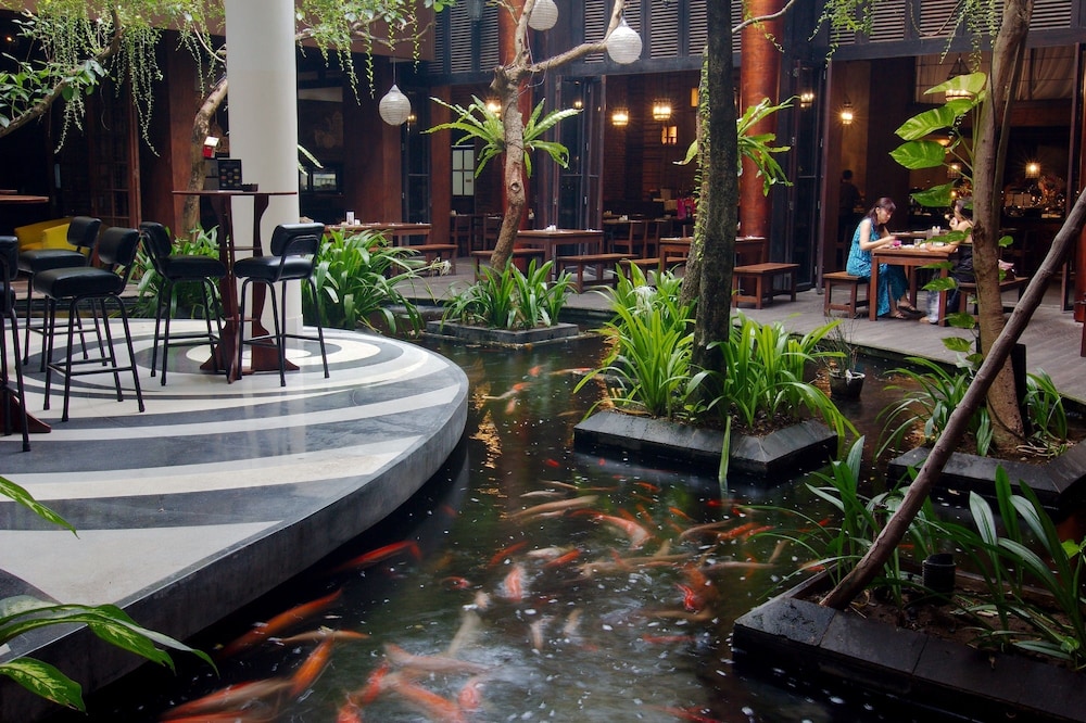 Swiss Belhotel Rainforest 65/69