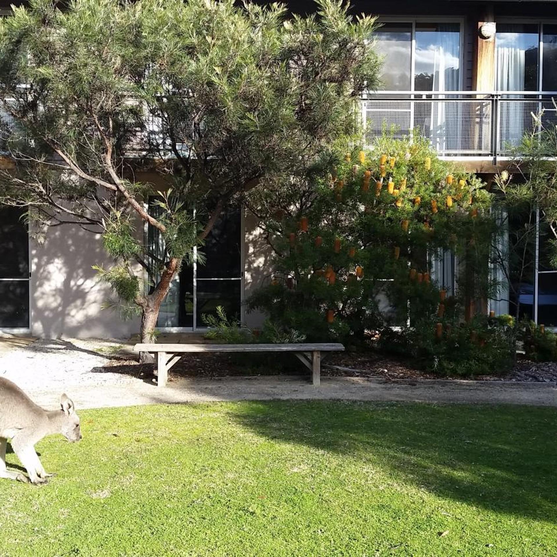YHA Grampians Eco Halls Gap 51/63