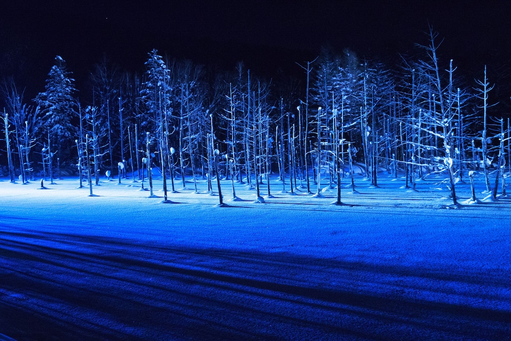 SPA & HOTEL RESORT Furano Laterre 49/54