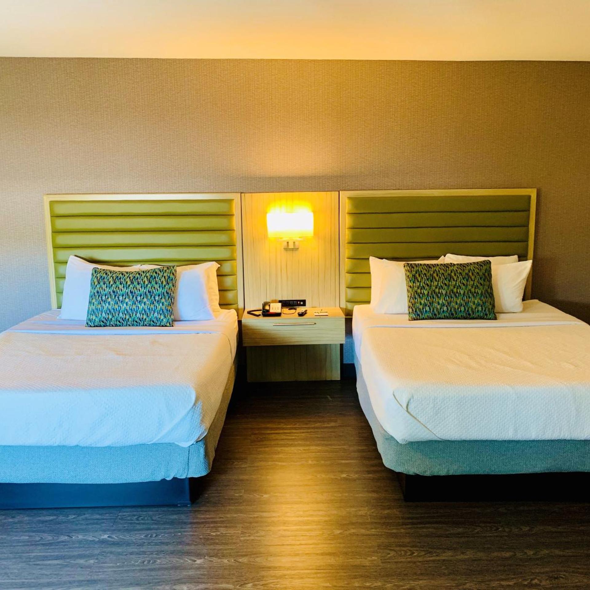 Room, Double Bed