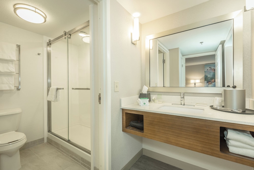Holiday Inn Hotel Suites Peachtree City 69/70