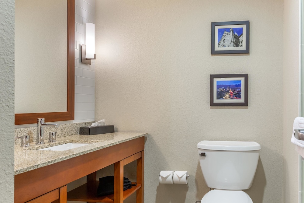Comfort Inn & Suites Boise Airport 40/51