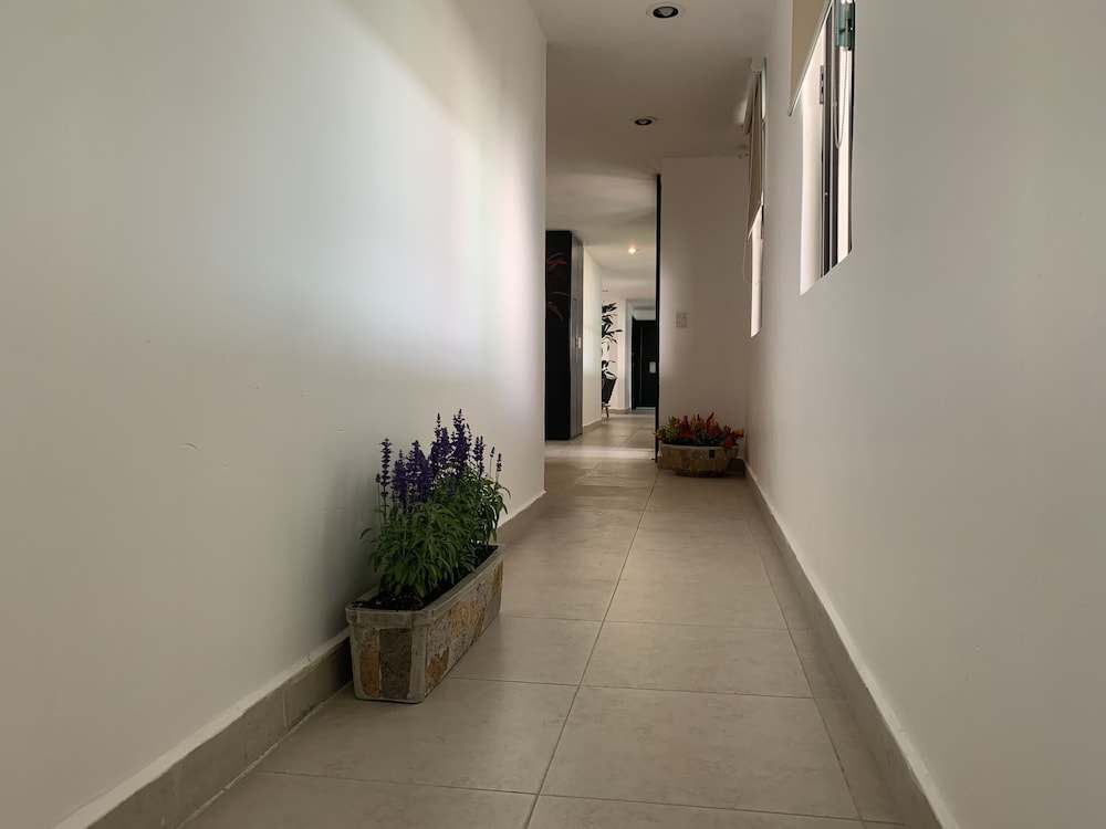 Hotel Escala Puebla Centro 42/50
