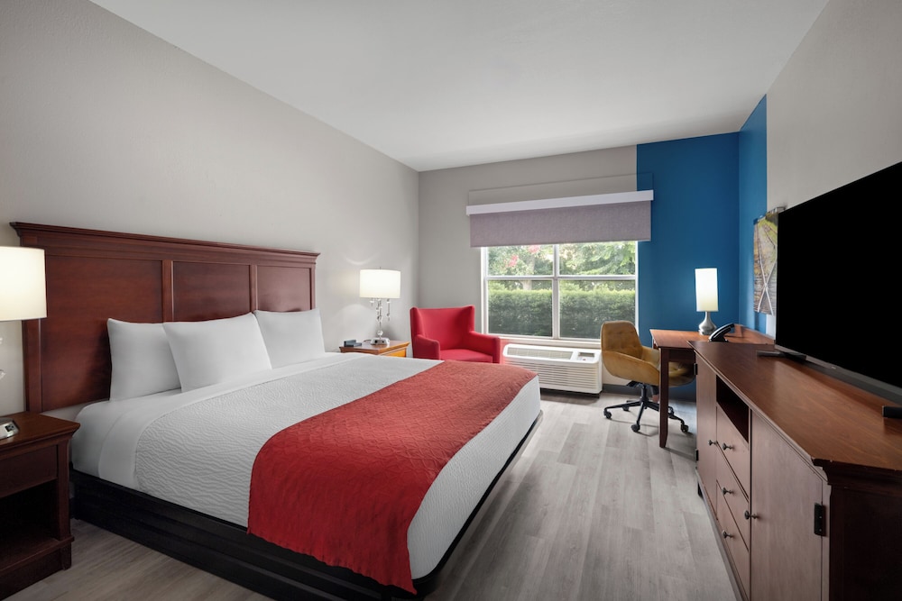 Room, King Bed, Accessible