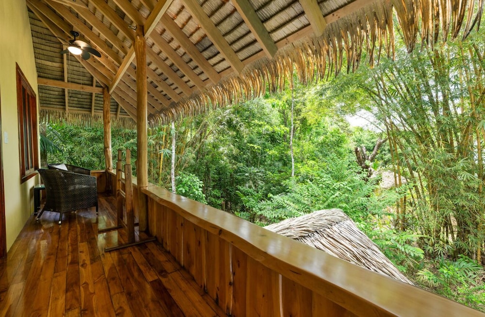 Copa De Arbol Beach &amp; Rainforest Resort 26/50