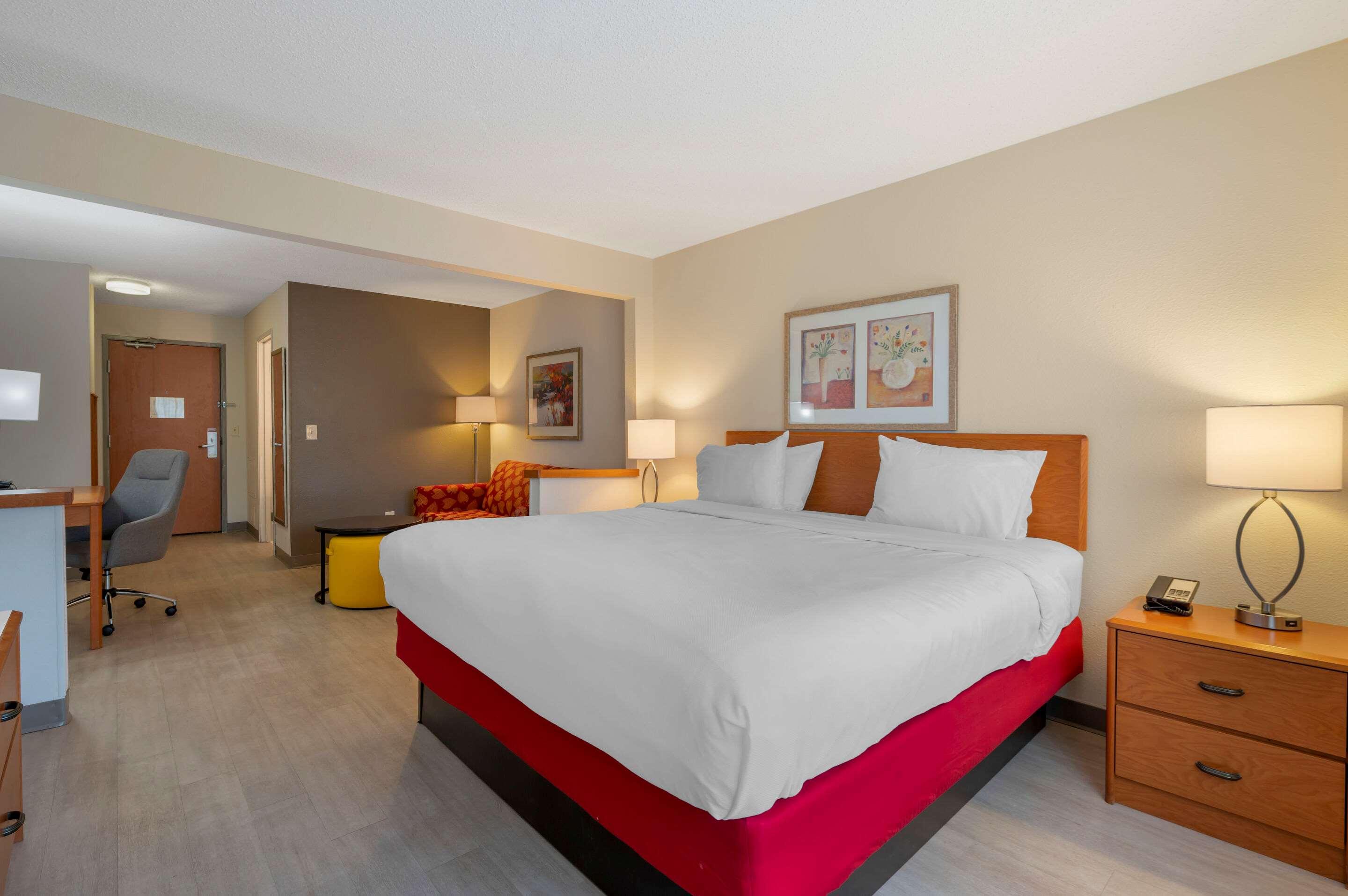 Suite, King Bed