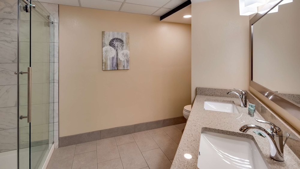 Best Western Plaza Inn 26/78