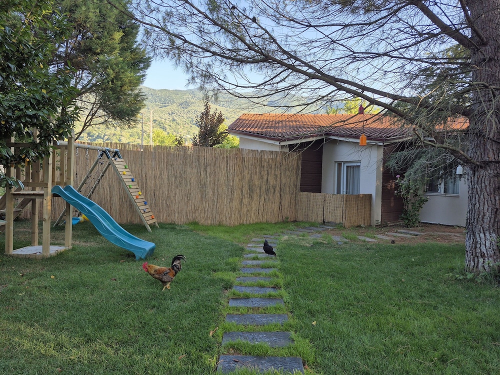 Alex Village Life 18/50