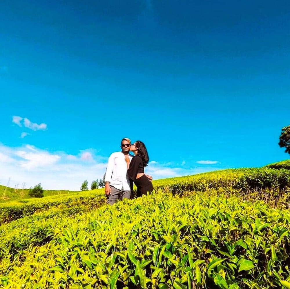 The Tea Garden 42/55