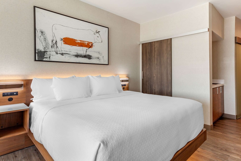 Cambria Hotel Richardson Dallas 13/50