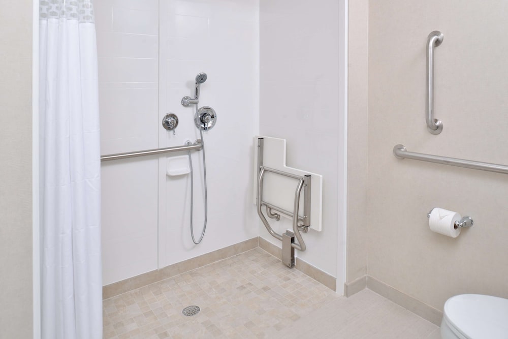 Hampton Inn Suites Orlando Downtown South Medical Center 23/46