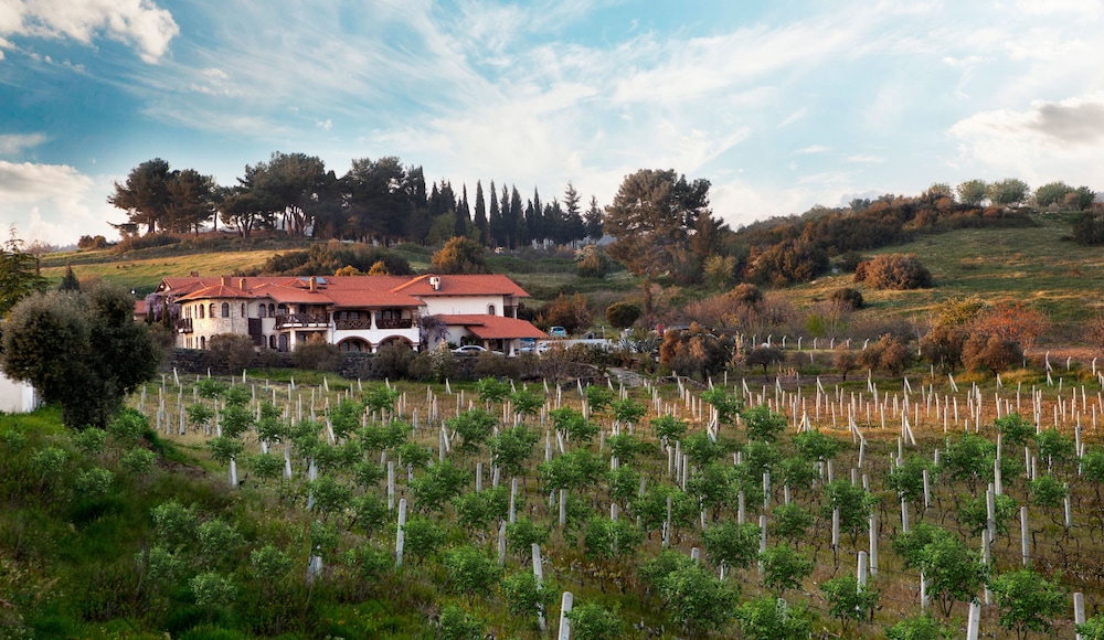 Vinifera Vineyards Hotel 44/50