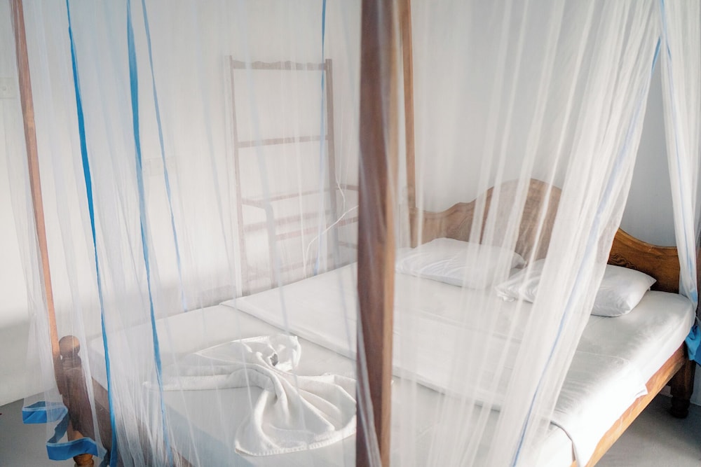 Asanka Surf House 40/40