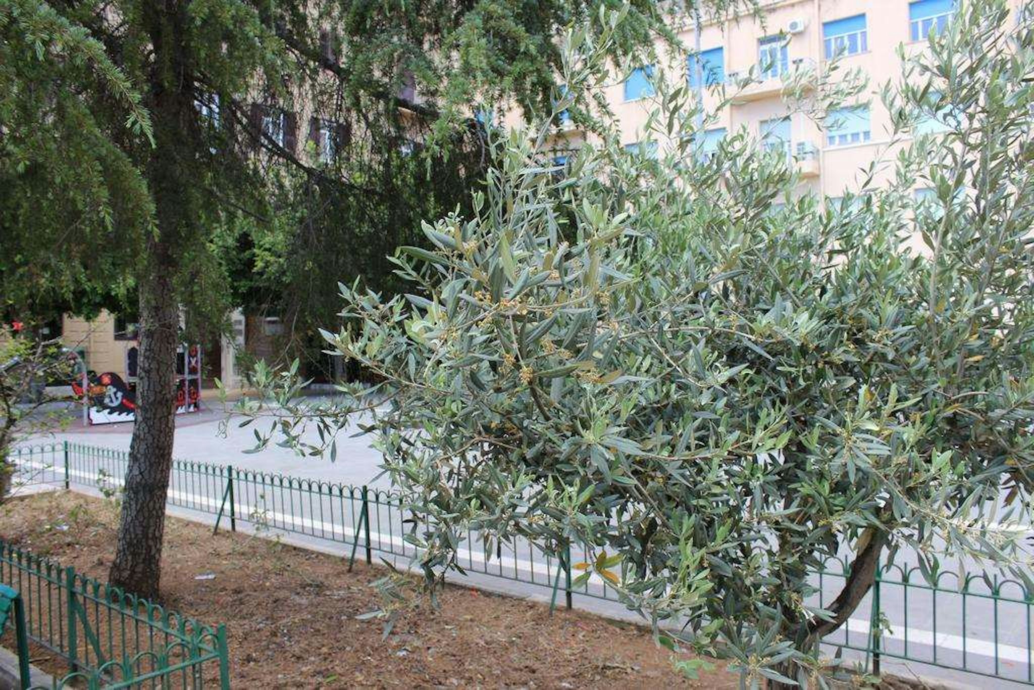 Del Viale 50/59