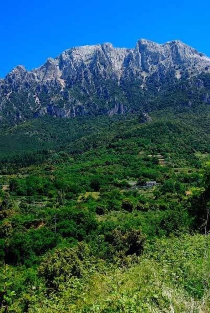 Enis Monte Maccione 55/66