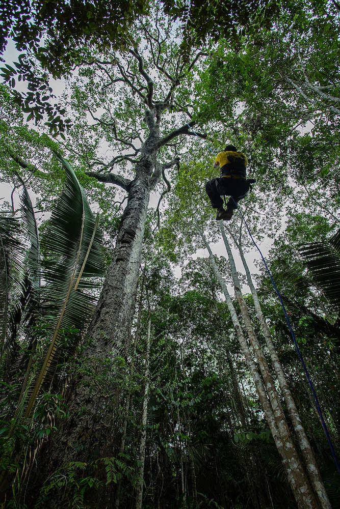 Juma Amazon Lodge 47/50