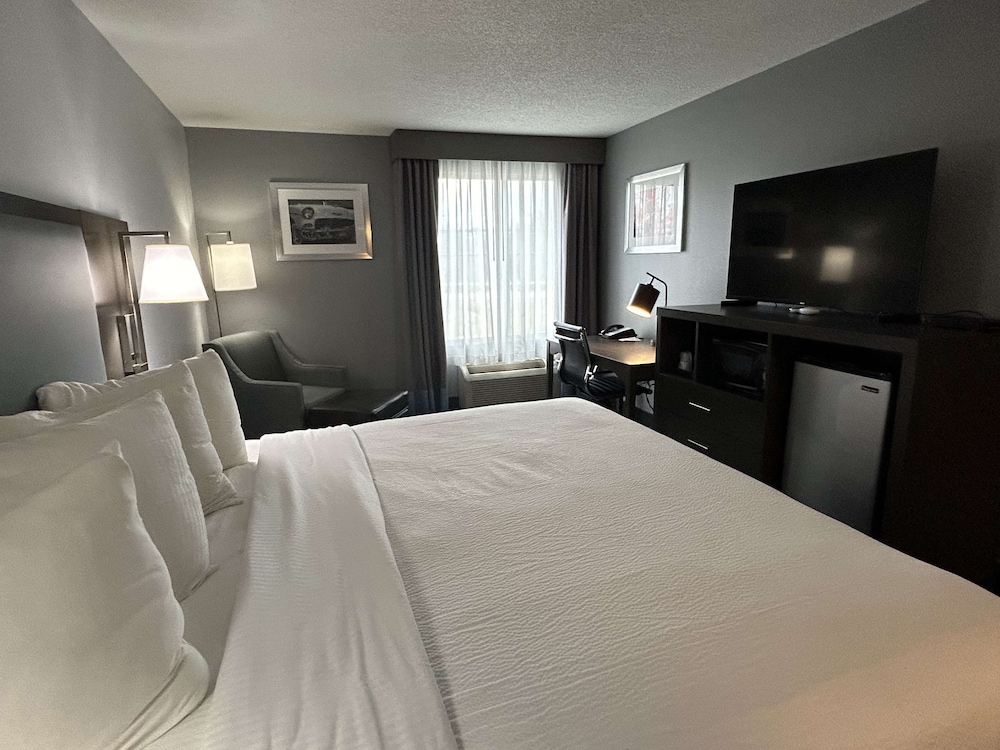 SUITE, KING BED, LIVING AREA