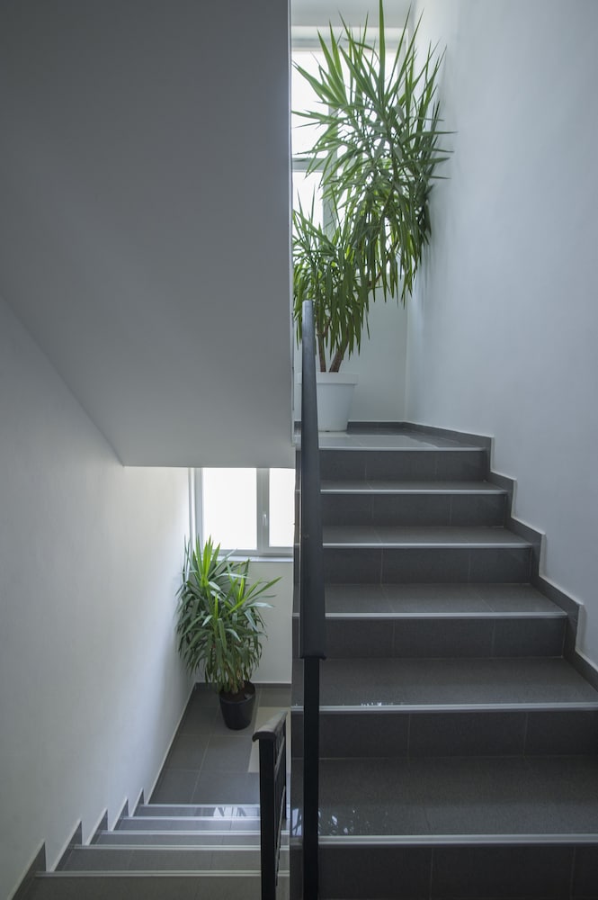 Apartments Djurasevic 20/50