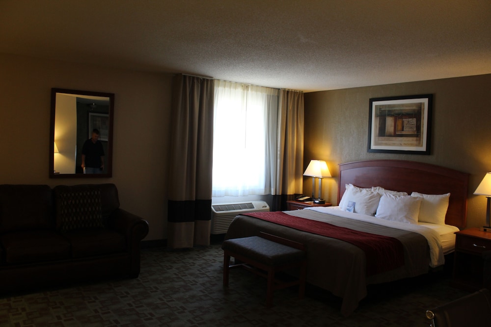 Comfort Inn Hastings 14/41