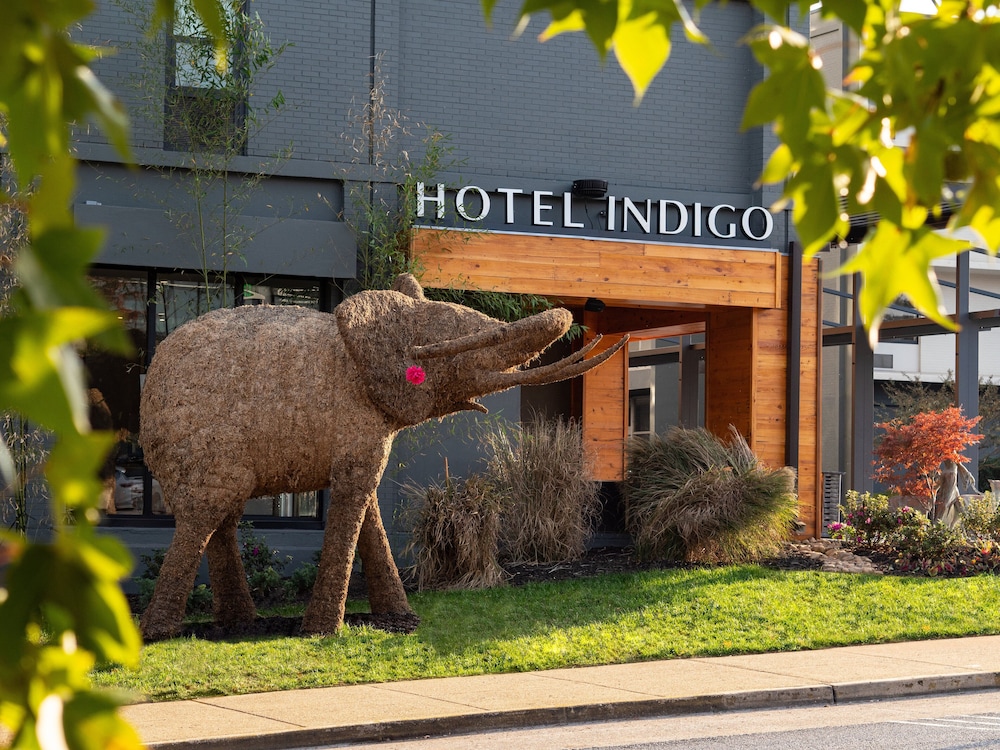Hotel Indigo Chattanooga Downtown 1/77