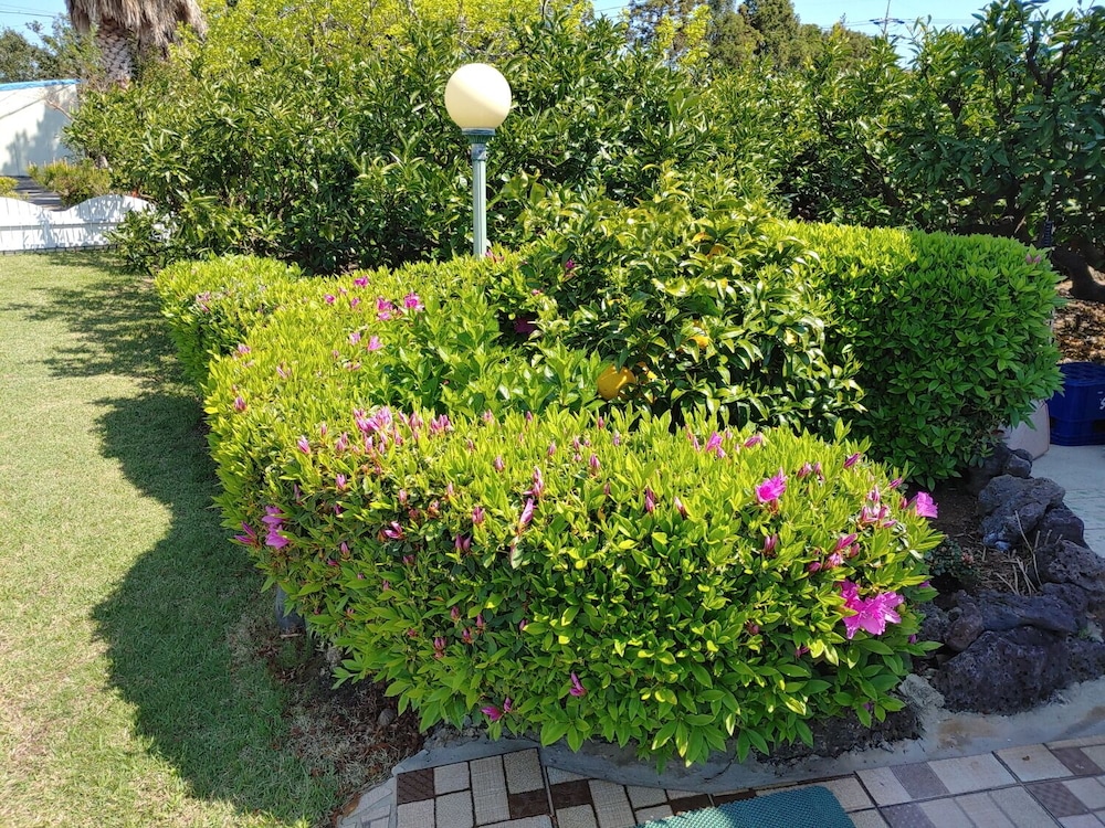 Gyul House 20/29