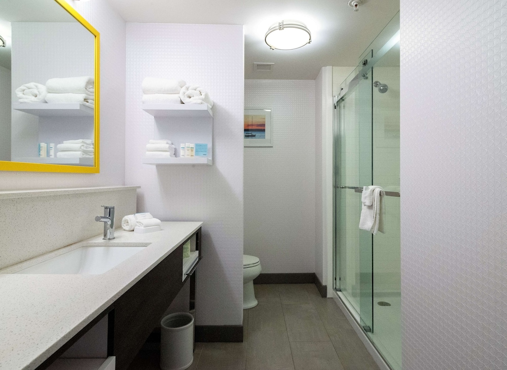 Hampton Inn Suites Allen Park 24/41