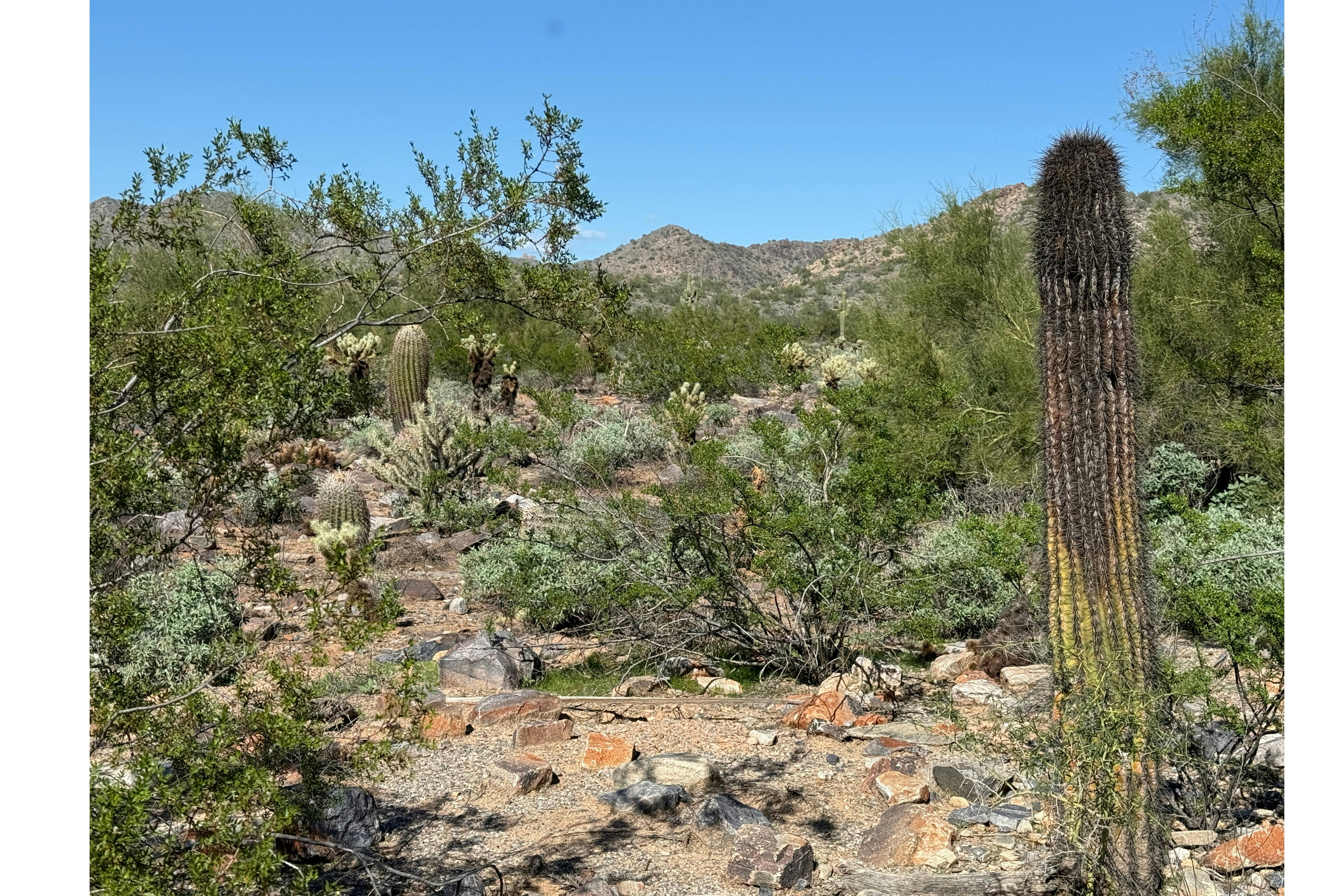 Hilton Scottsdale Resort & Villas 73/77