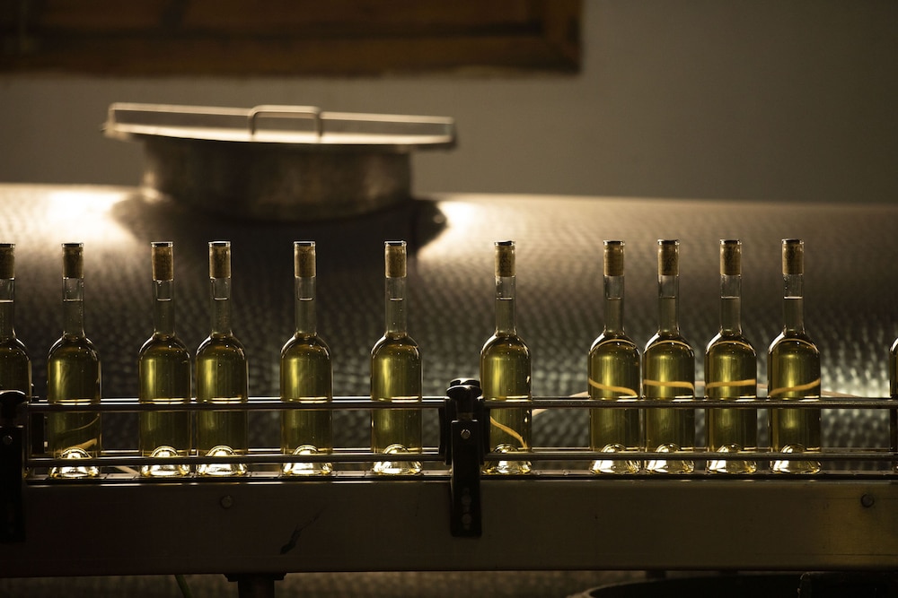 Domus Selecta Complejo Enoturistico Finca La Estacada 33/65
