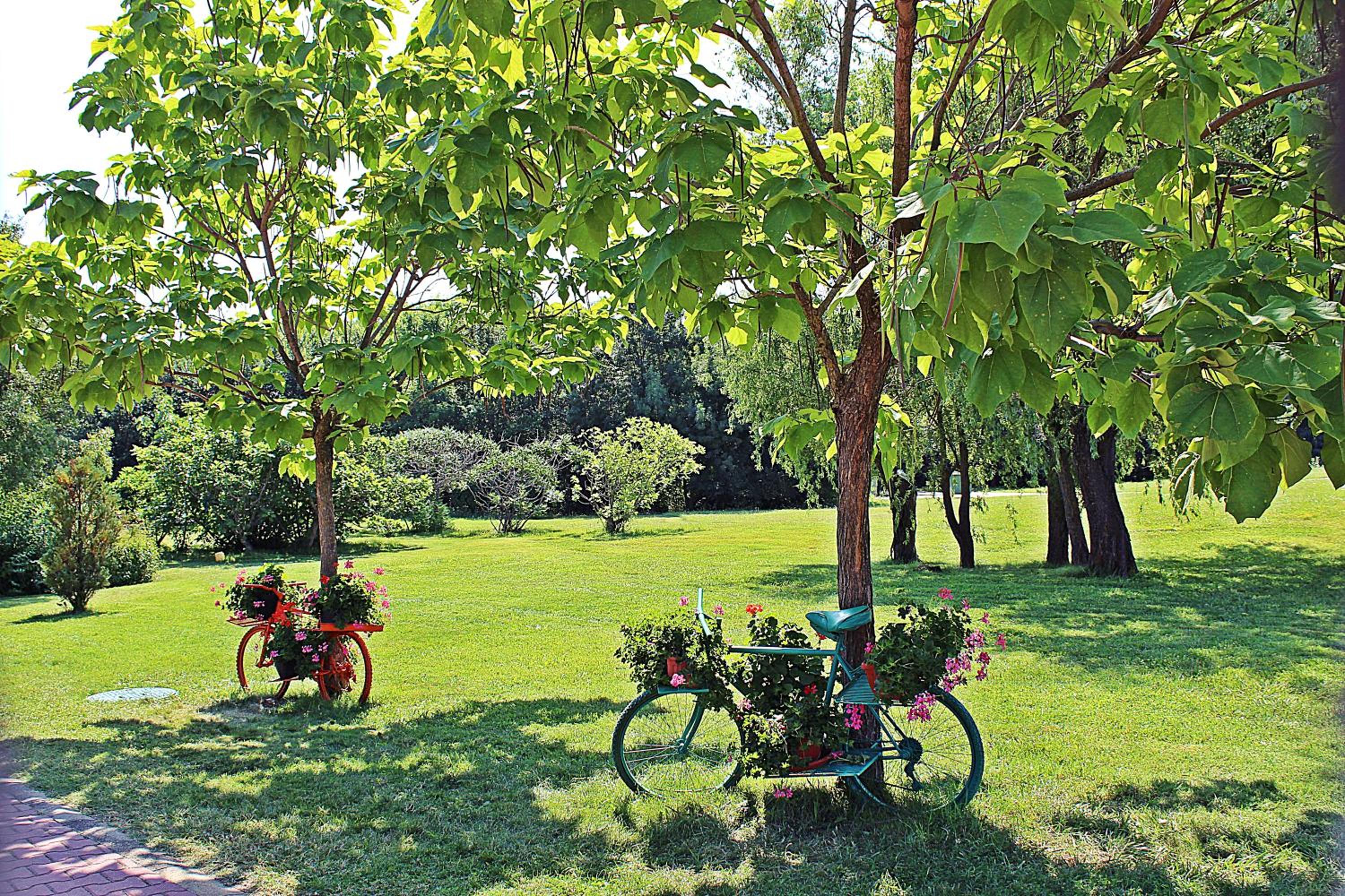 Duni Royal Holiday Village 24/49