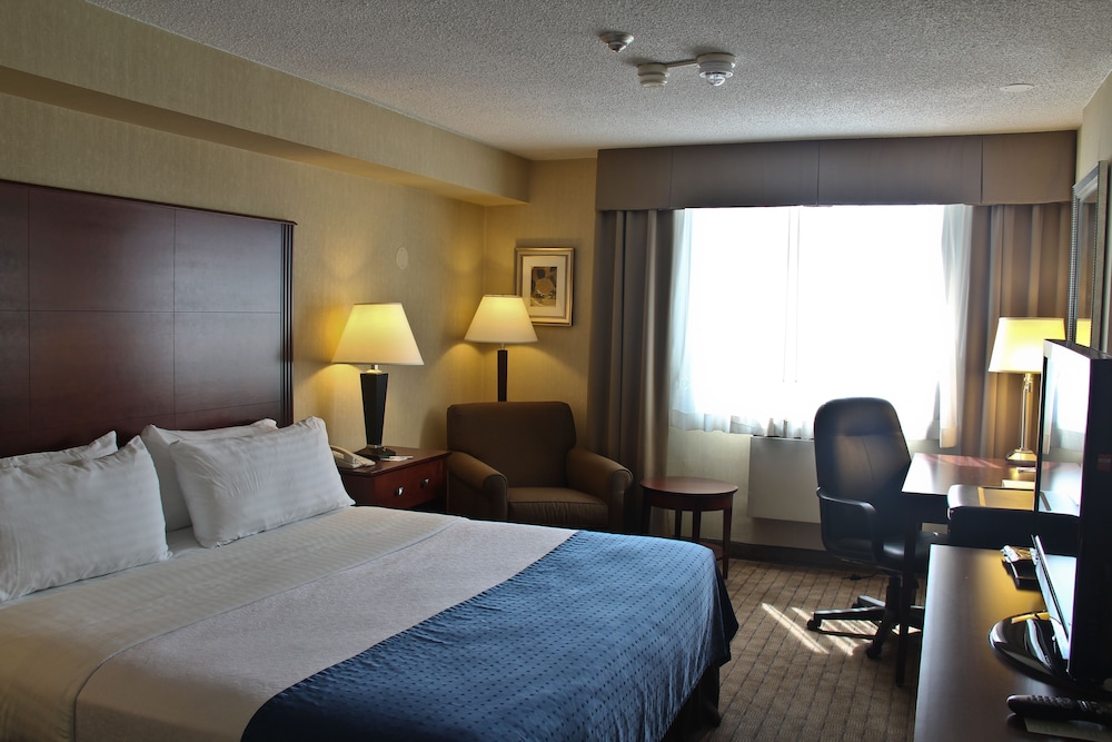 Holiday Inn Hotel And Suites Winnipeg Downtown 18/78