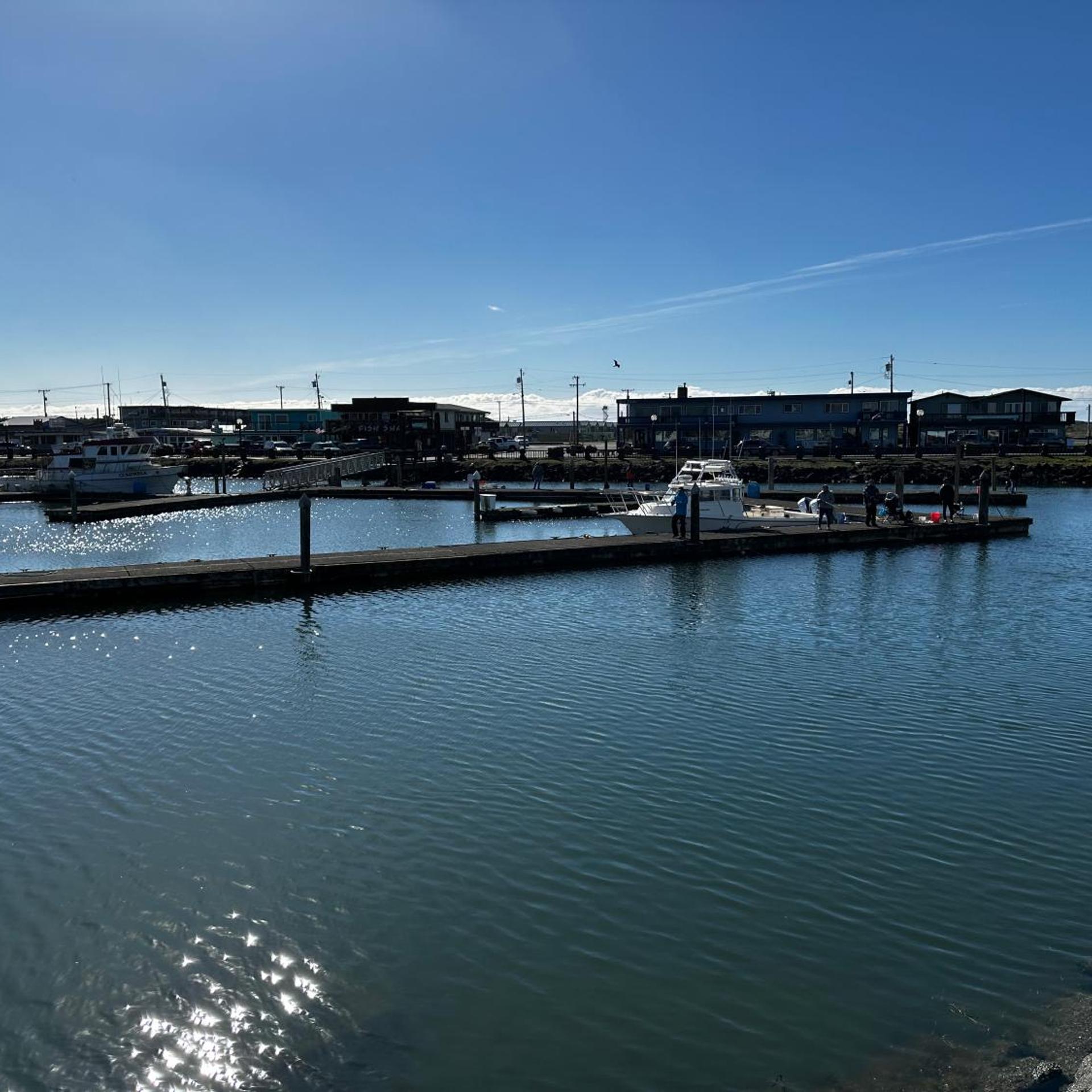 Westport Marina Cottages 40/50