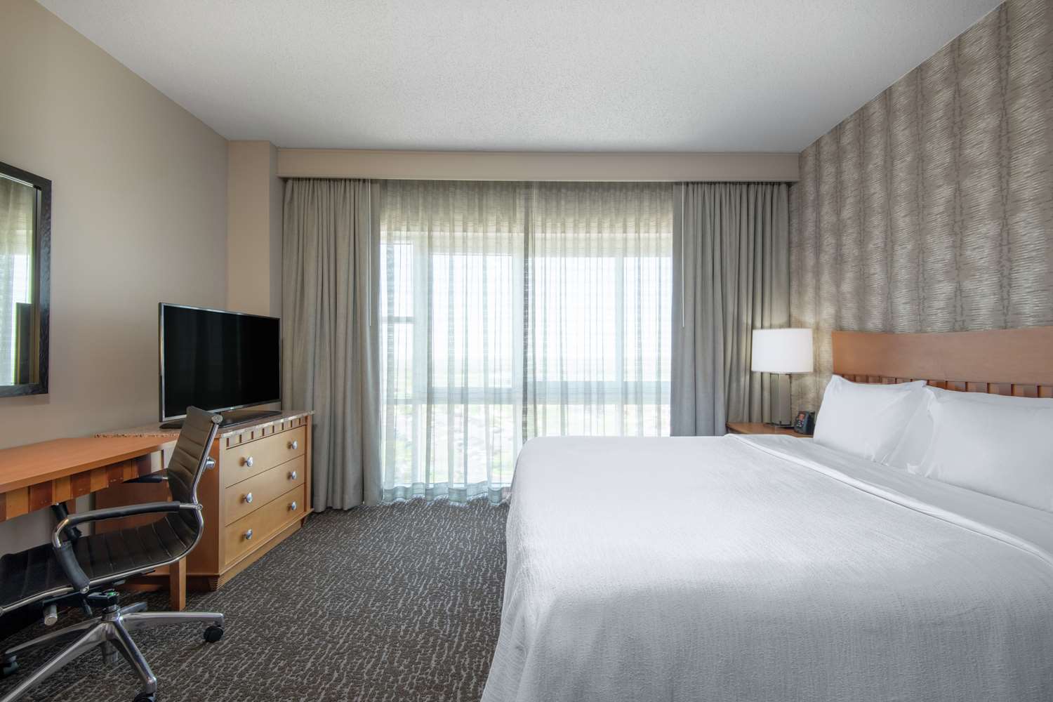 Suite, King Bed