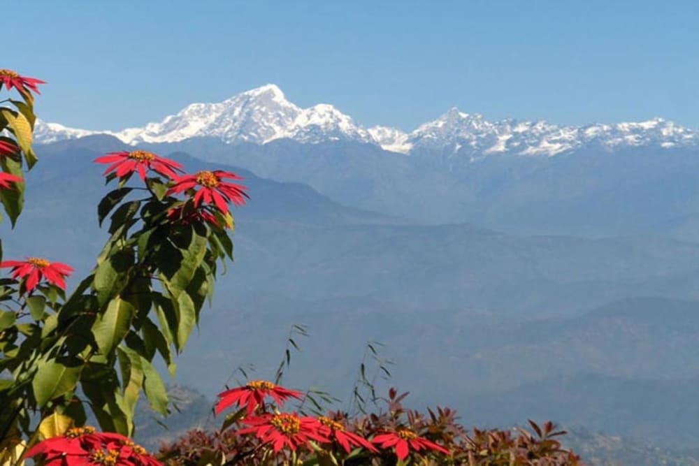 Himalayan Horizon 41/46