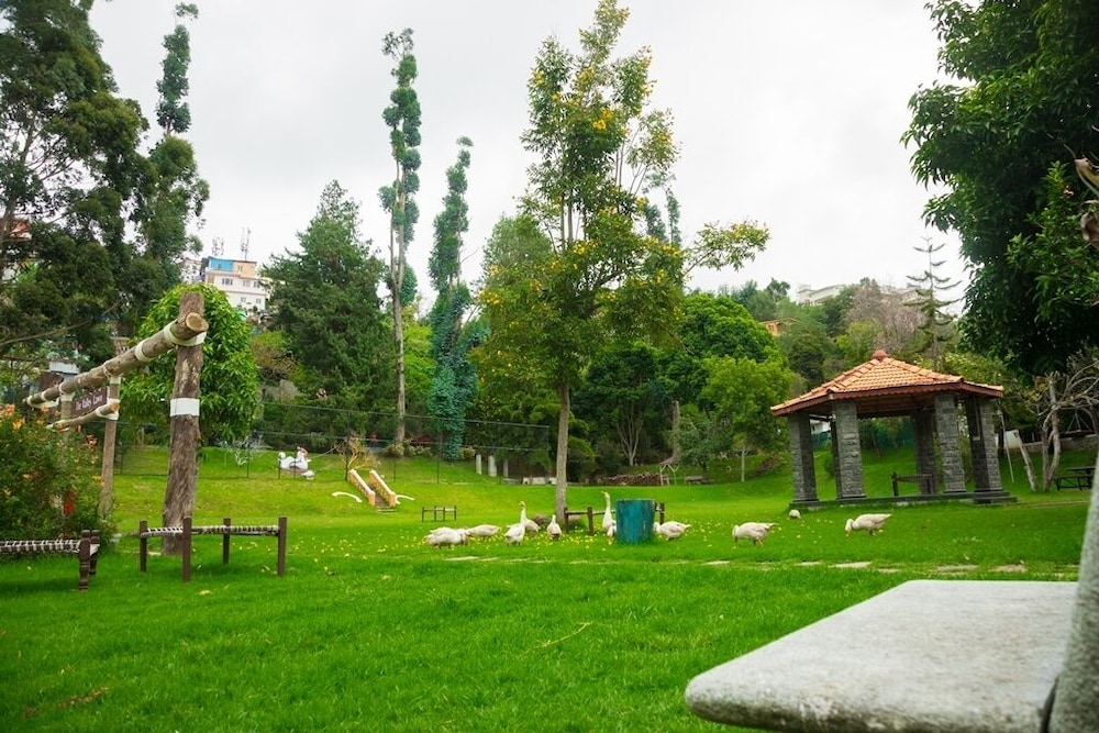 Hotel Kodai International 22/38