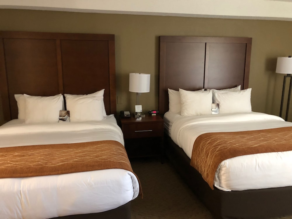 Comfort Inn and Suites Near Danville Mall 11/31