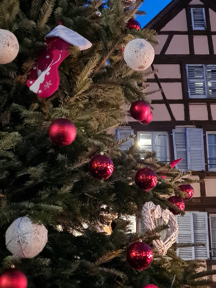 Mercure Colmar Centre Unterlinden Hotel 70/73