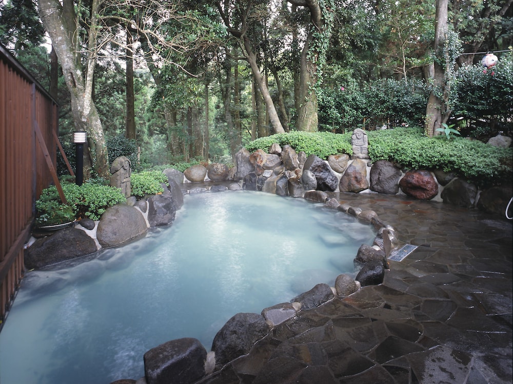 HOTEL KIRISHIMA CASTLE 3/66
