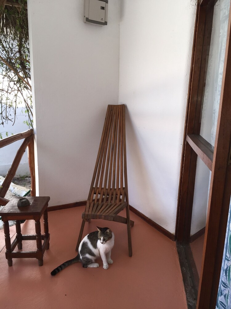 Sea View Lodge Boutique Hotel 35/76