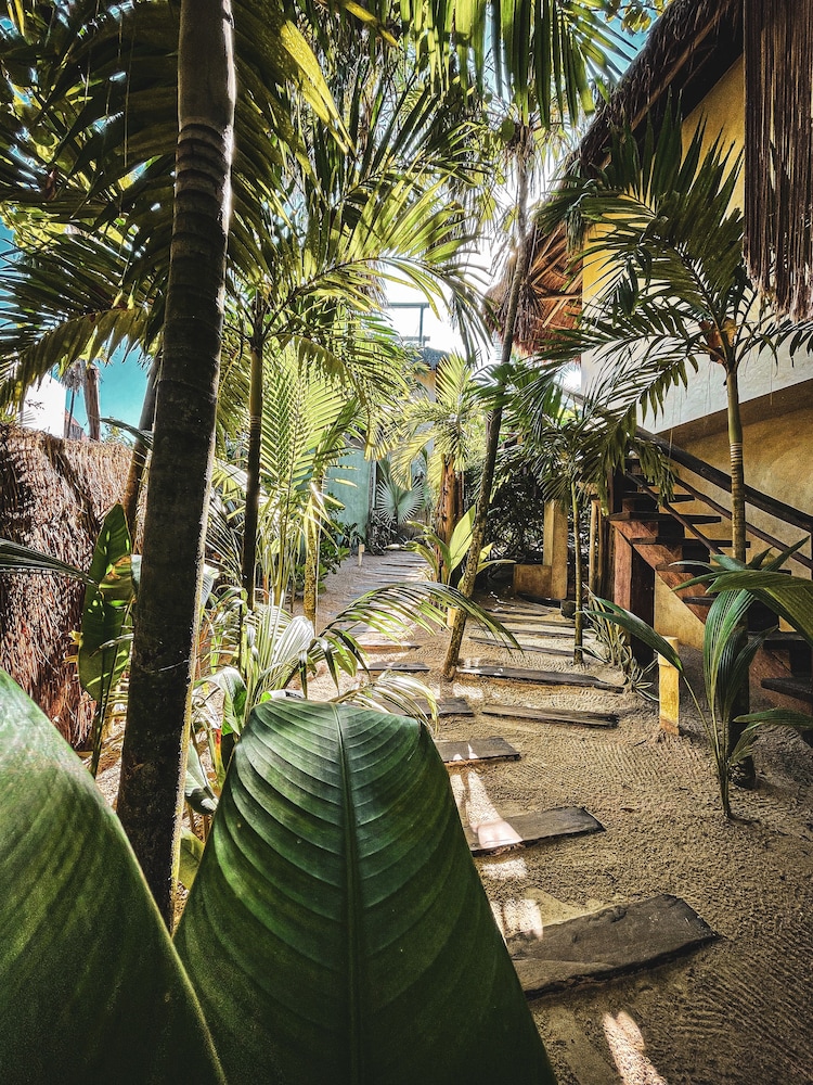 Orchid House Tulum Beach 42/50