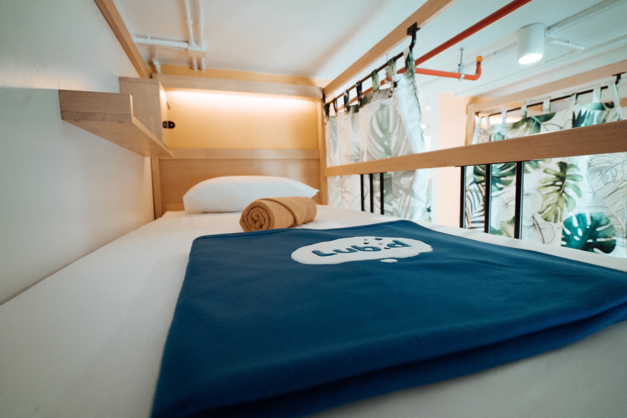 Bed in 8 bed Female Dormitory