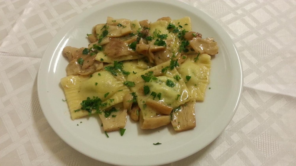 Hotel Tiziana 20/50