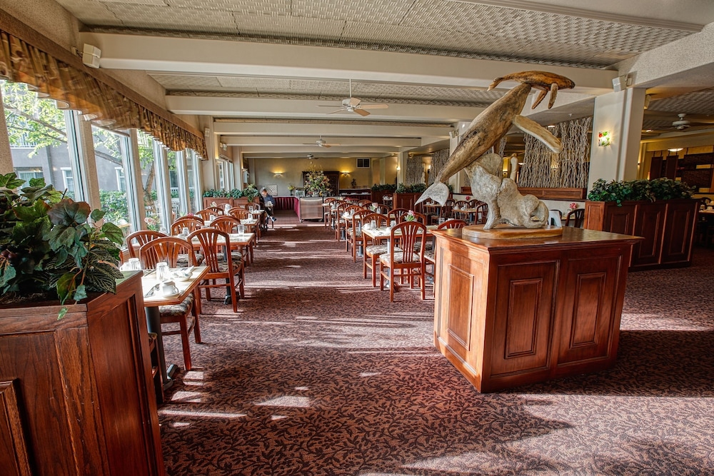 Bear Lodge At Wedgewood Resort 5/37
