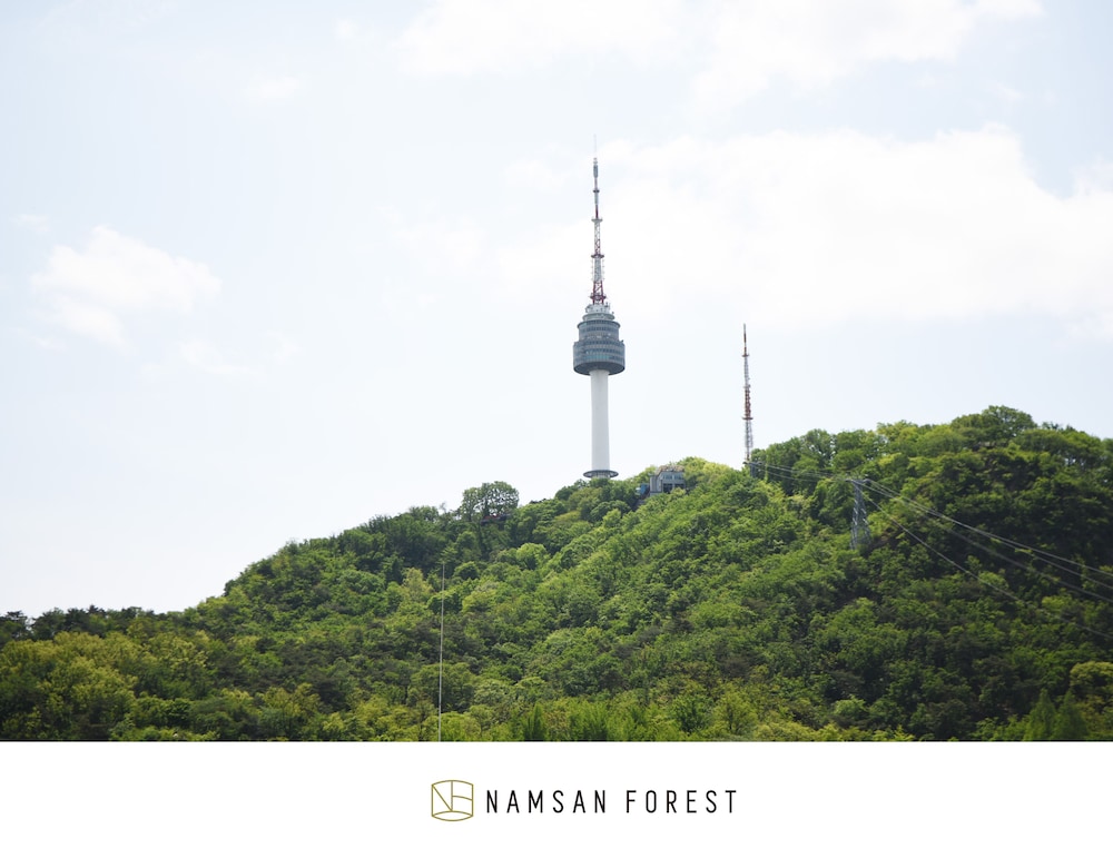 Namsan Forest In Myeongdong 48/56