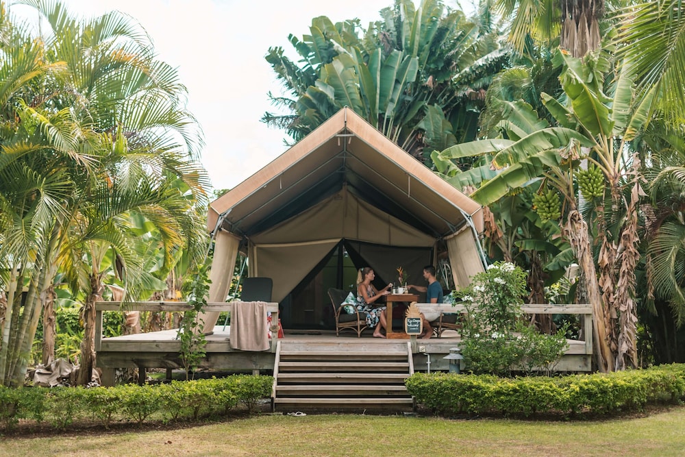 Ikurangi Eco Retreat 46/50