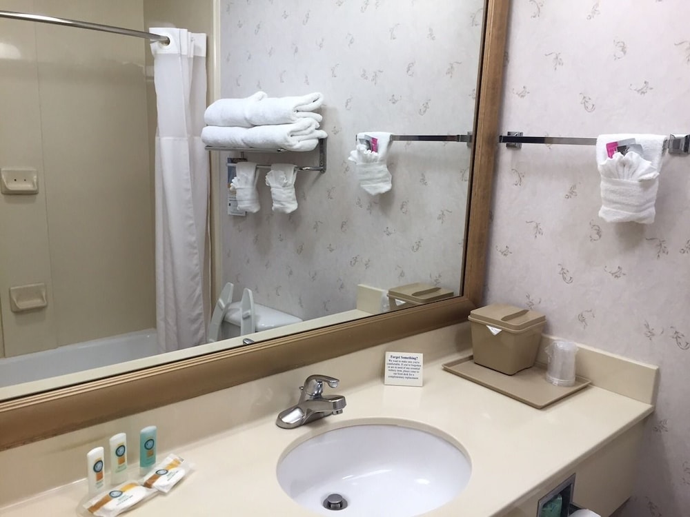 Quality Inn and Suites Near University 14/39