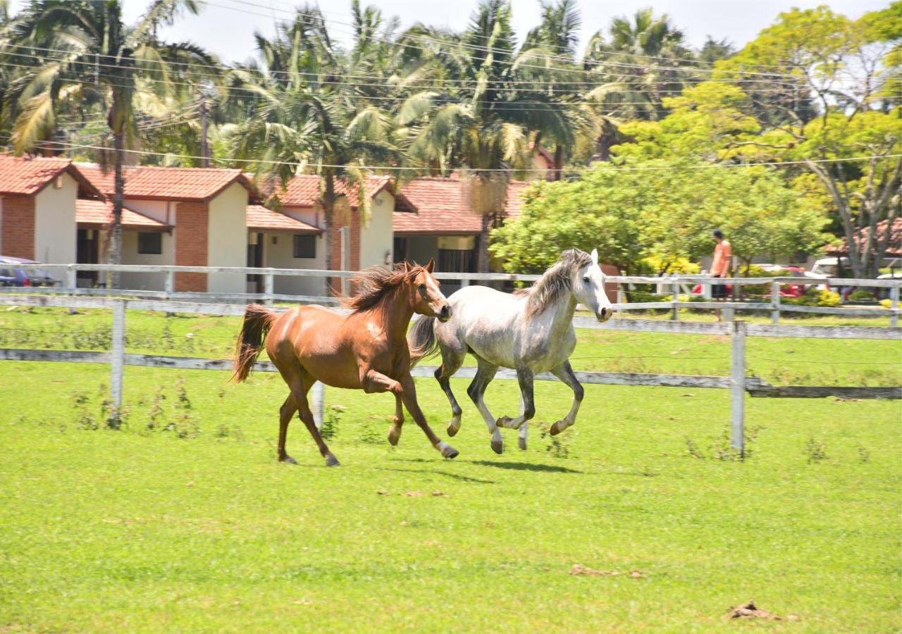 Hotel Fazenda Hipica Atibaia 40/50