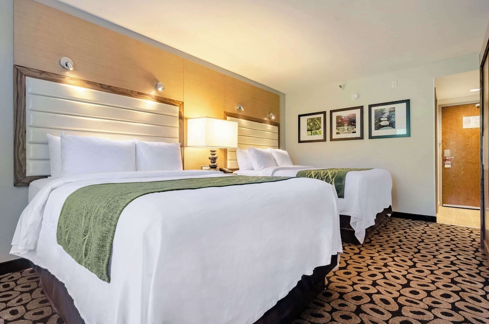 UPGRADE, 2 QUEEN BEDS