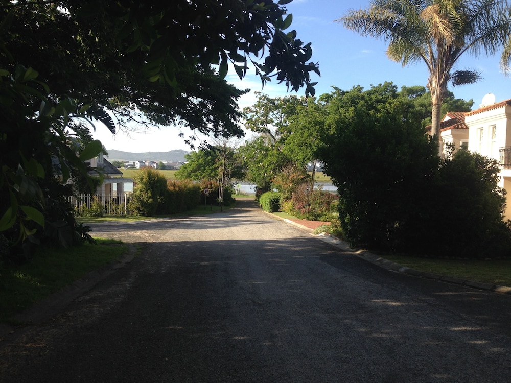 Blue Fern of Knysna 45/50